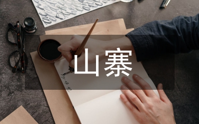 山寨品牌设计论文